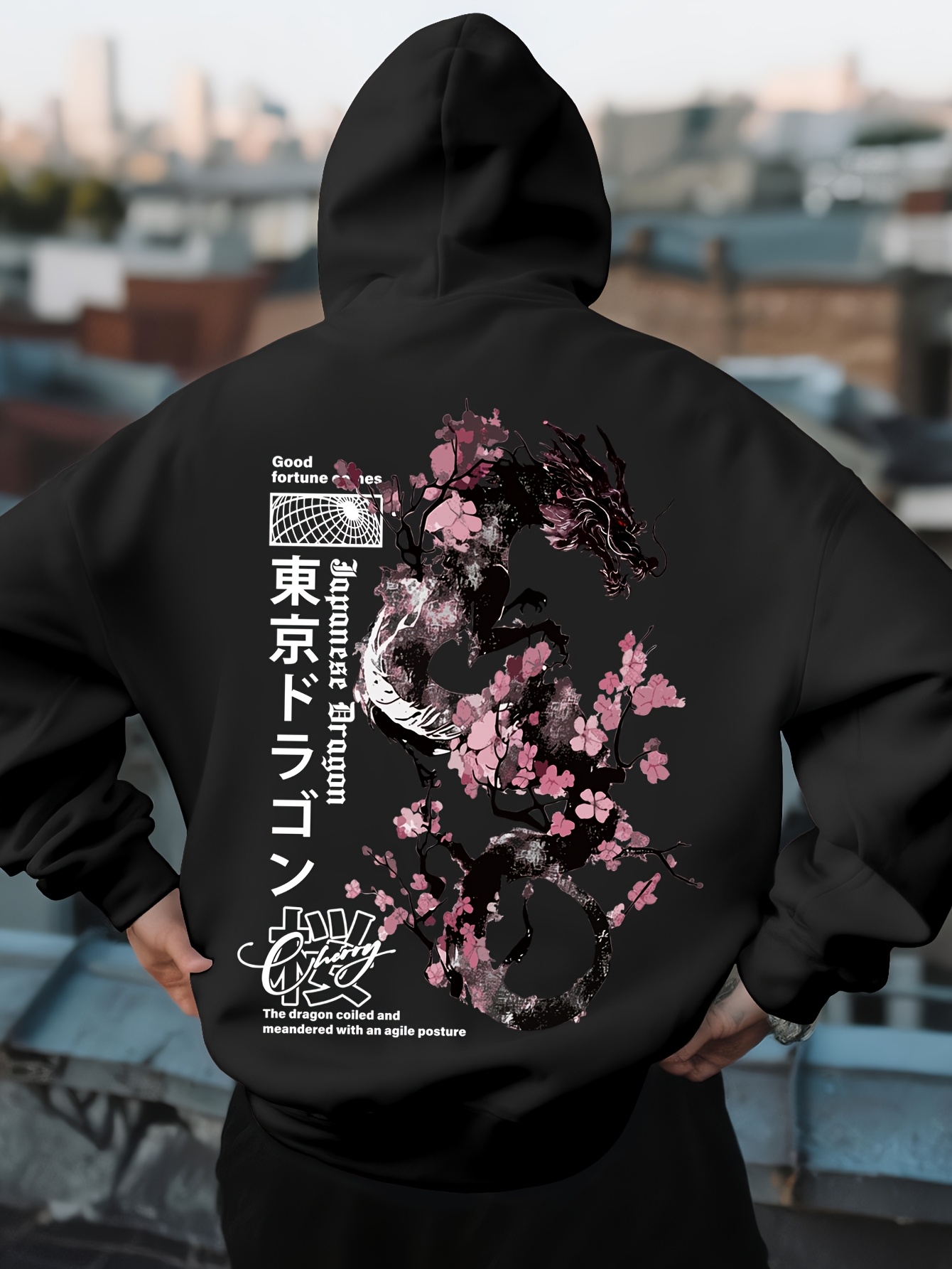 Mens Hip Hop Sports Hoodie Aes - Street Fashion Asian Men recension och pris
