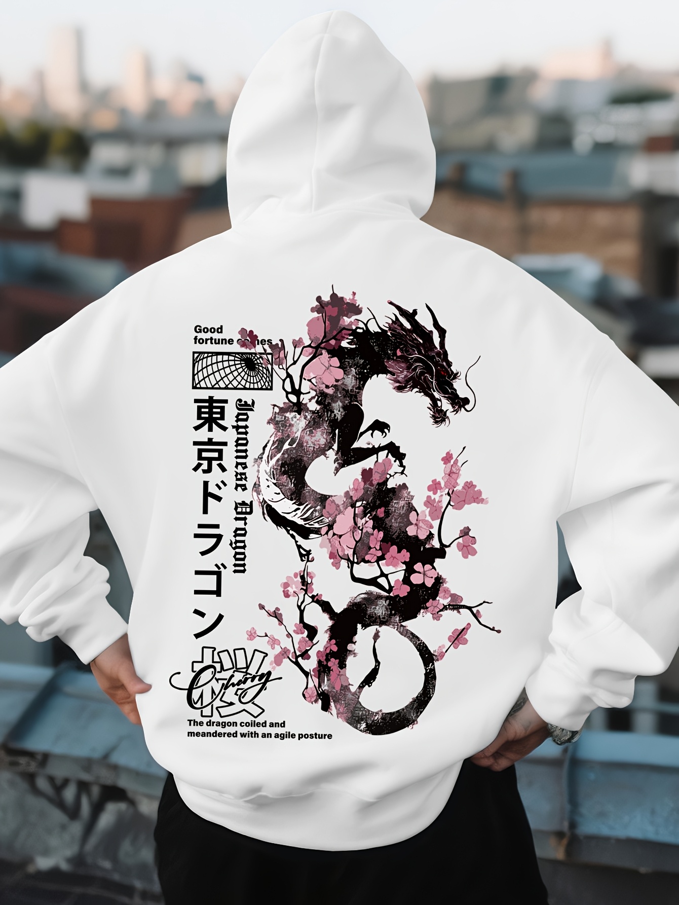 Mens Hip Hop Sports Hoodie Aes - Street Fashion Asian Men recension och pris
